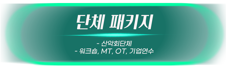 단체 패키지